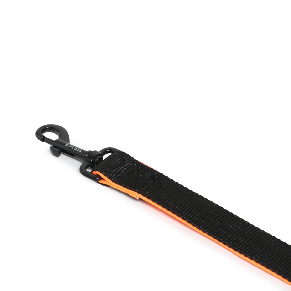 Basil Nylon Padded Leash for Dogs (Black) - Image 7