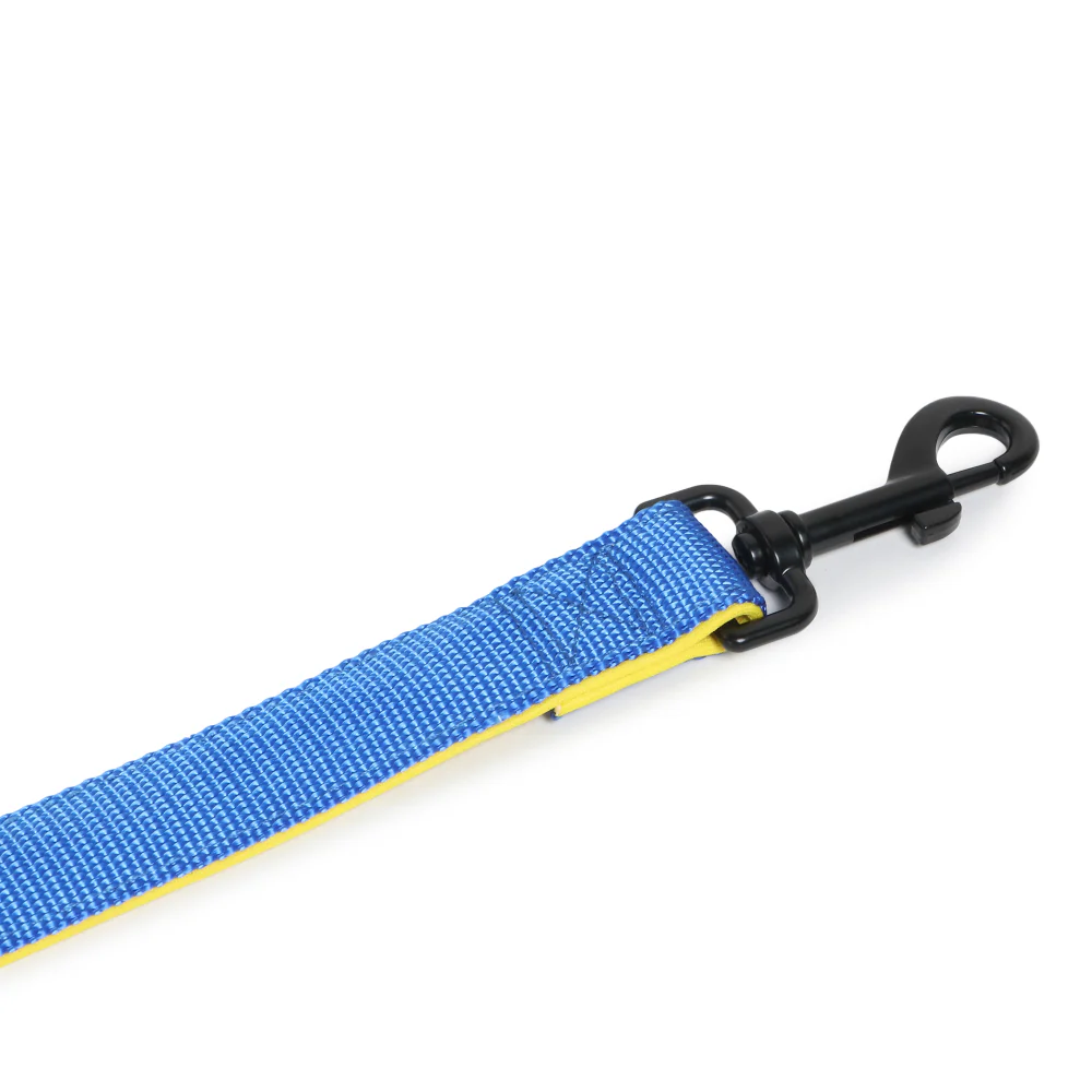 Basil Nylon Padded Leash for Dogs (Blue) - Image 10