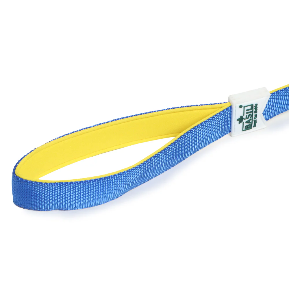 Basil Nylon Padded Leash for Dogs (Blue) - Image 11
