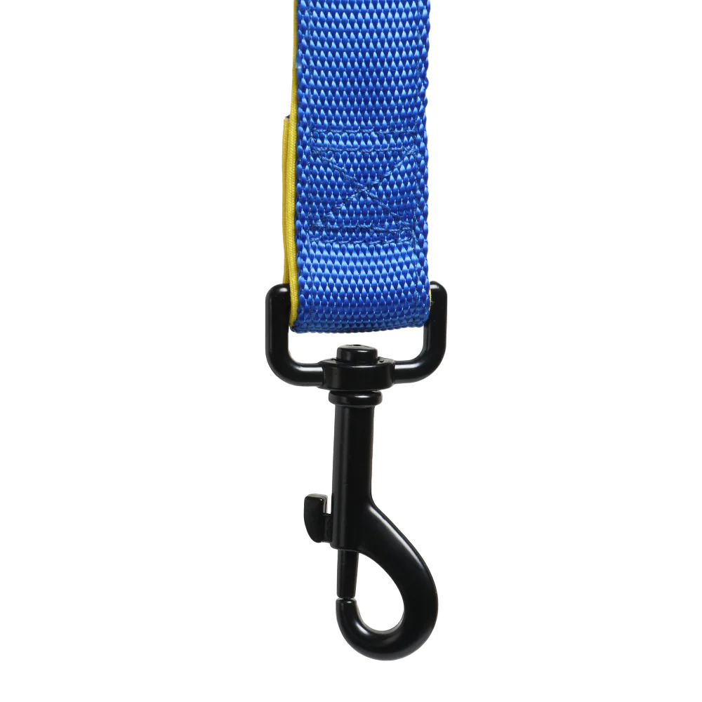 Basil Nylon Padded Leash for Dogs (Blue) - Image 12