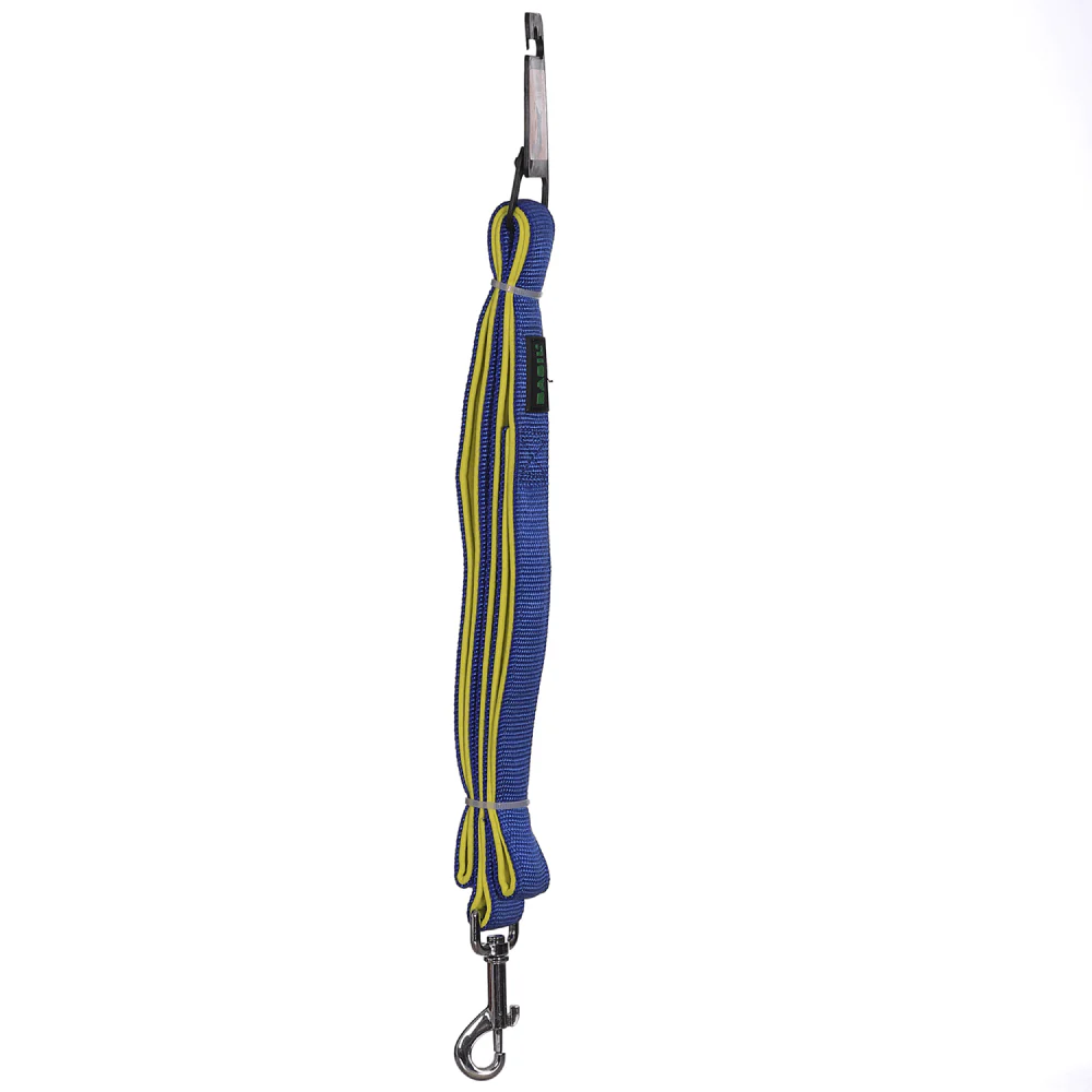 Basil Nylon Padded Leash for Dogs (Blue) - Image 3