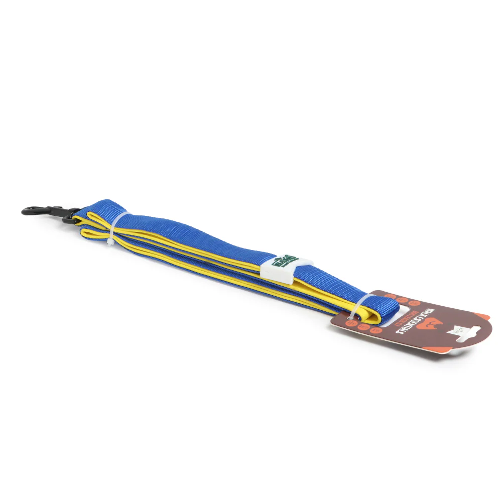 Basil Nylon Padded Leash for Dogs (Blue) - Image 6