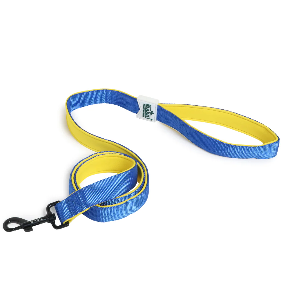 Basil Nylon Padded Leash for Dogs (Blue) - Image 7
