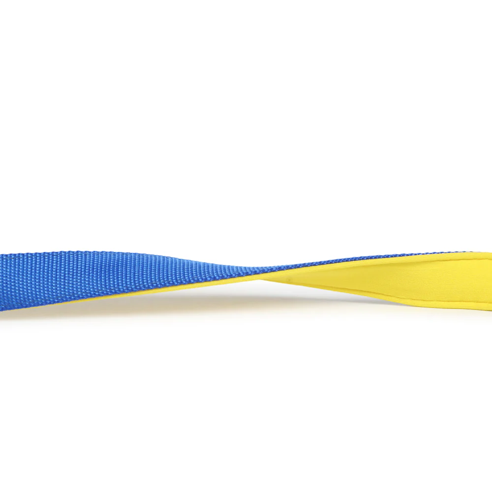 Basil Nylon Padded Leash for Dogs (Blue) - Image 9
