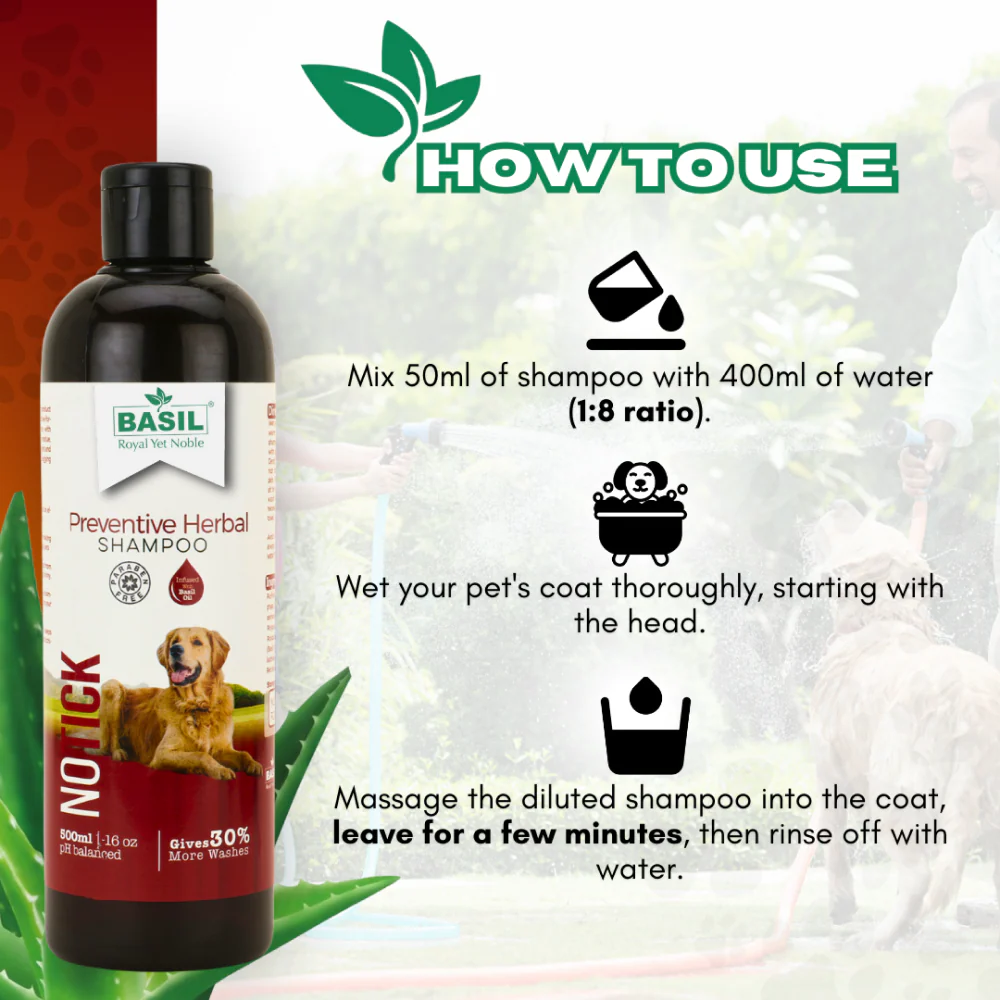 Basil Oat & Aloe Moisturising Shampoo for Dogs and Cats - Image 4