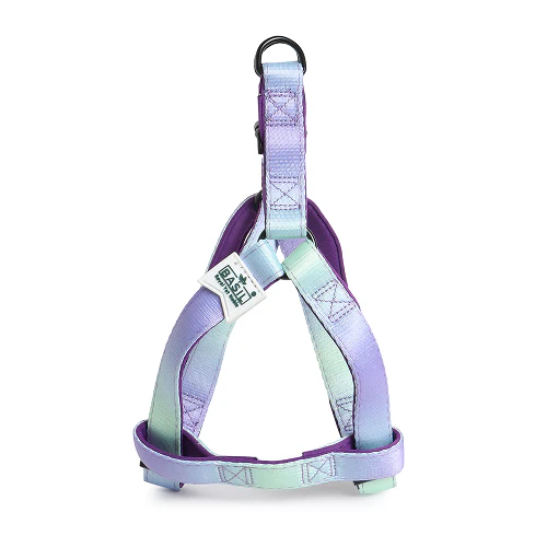 Basil Padded Adjustable Harness for Dogs (Purple/Blue) - Image 3