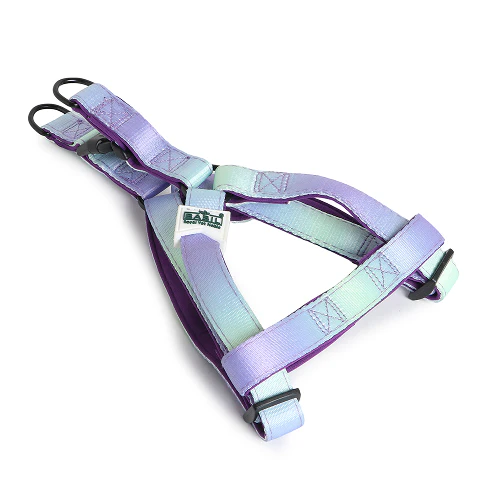 Basil Padded Adjustable Harness for Dogs (Purple/Blue) - Image 4