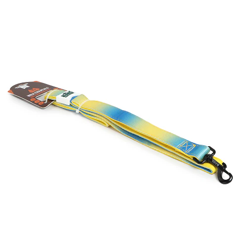 Basil Padded Leash for Dogs (Blue/Yellow) - Image 3