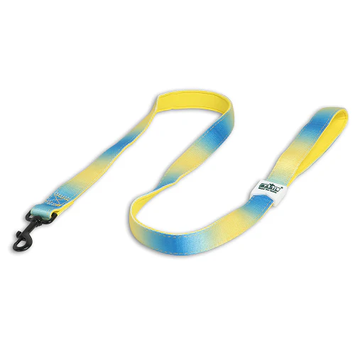 Basil Padded Leash for Dogs (Blue/Yellow) - Image 4