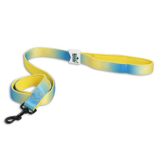 Basil Padded Leash for Dogs (Blue/Yellow) - Image 5