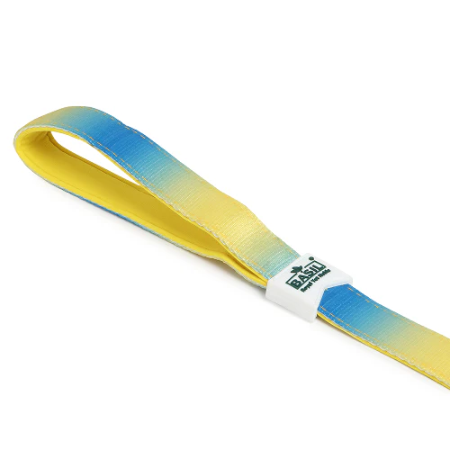 Basil Padded Leash for Dogs (Blue/Yellow) - Image 6