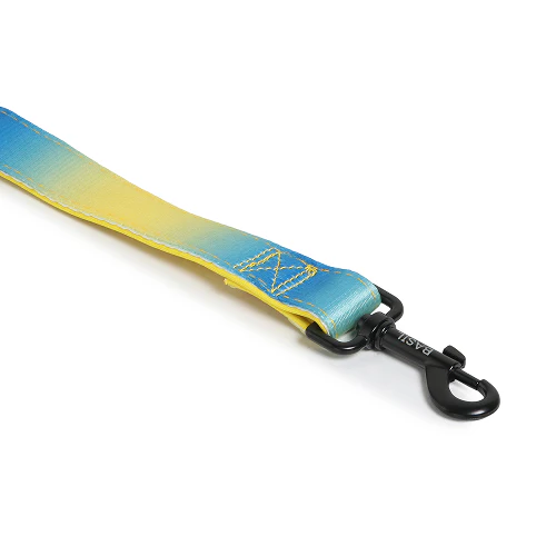 Basil Padded Leash for Dogs (Blue/Yellow) - Image 7
