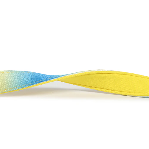 Basil Padded Leash for Dogs (Blue/Yellow) - Image 8