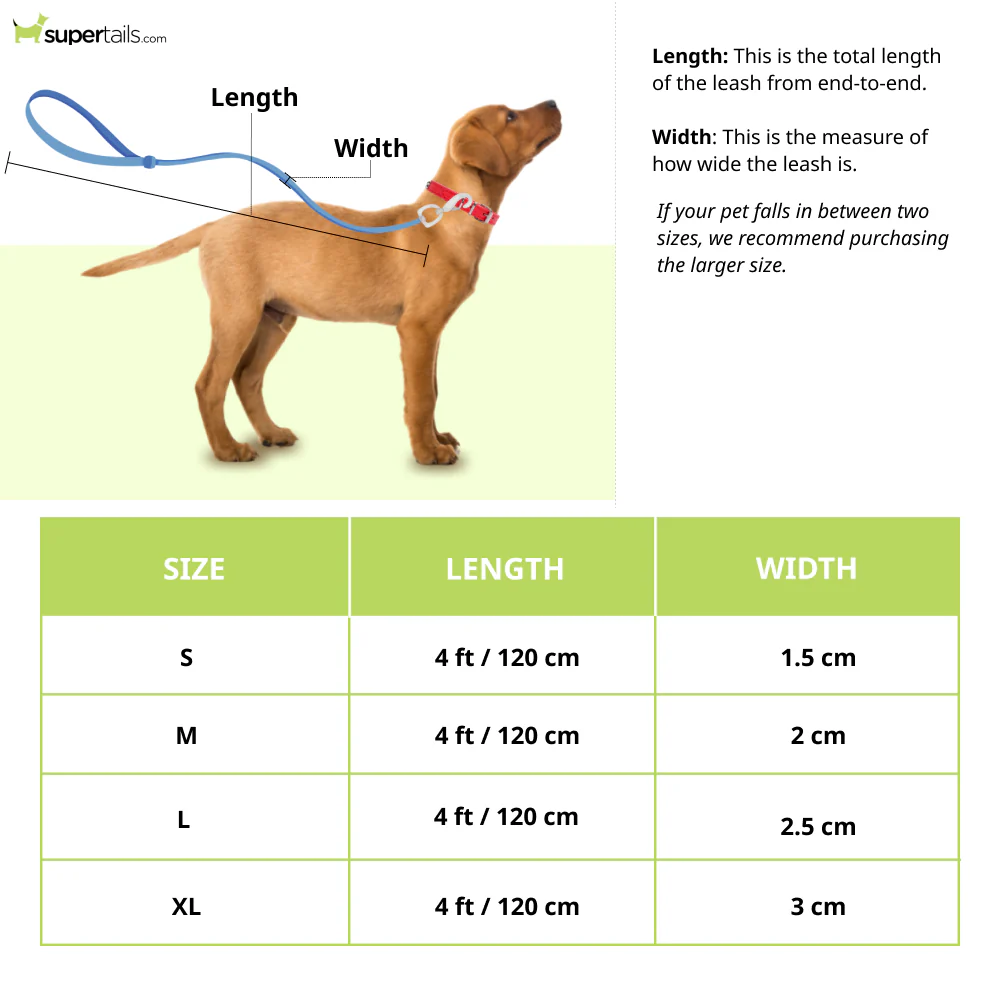 Basil Padded Leash for Dogs (Black/Gray) - Image 2