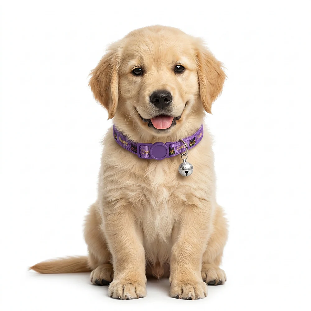 Basil Printed Collar for Cats & Puppies (Purple) - Image 4