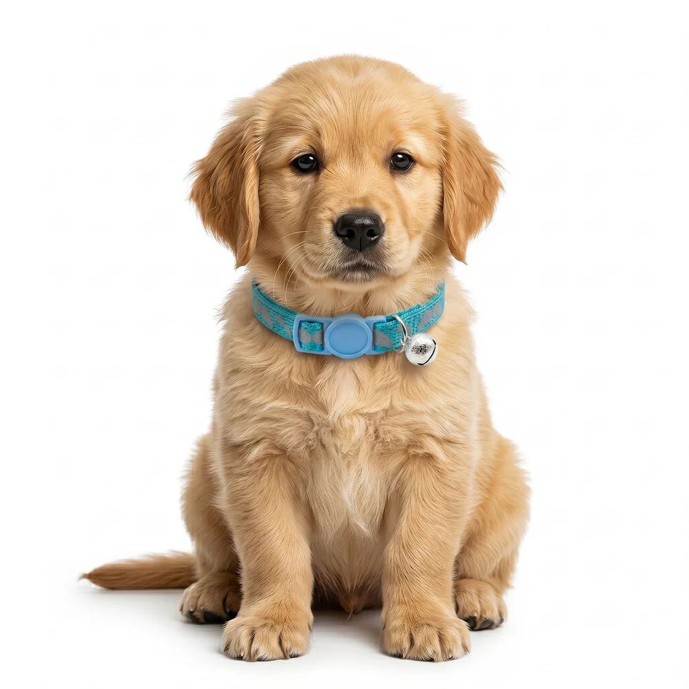 Basil Printed Collar for Cats & Puppies (Blue) - Image 6