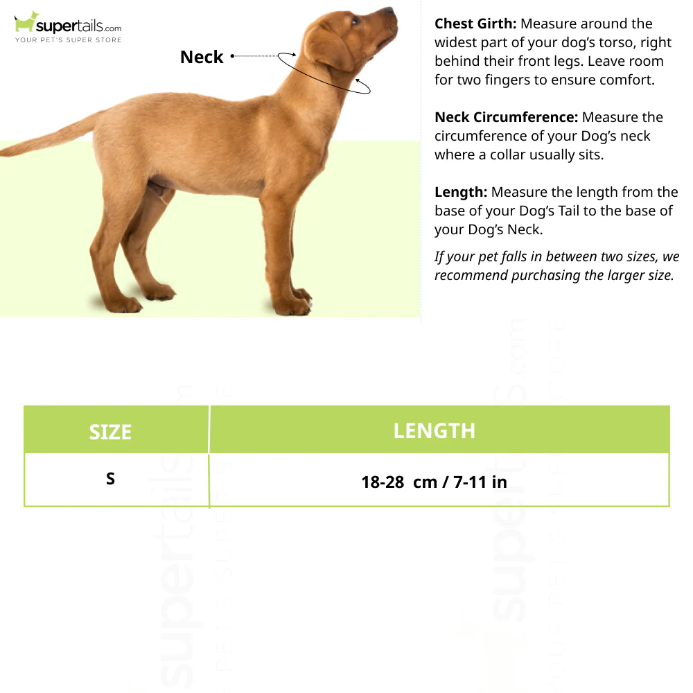 Basil Printed Collar for Cats & Puppies (Green) - Image 2
