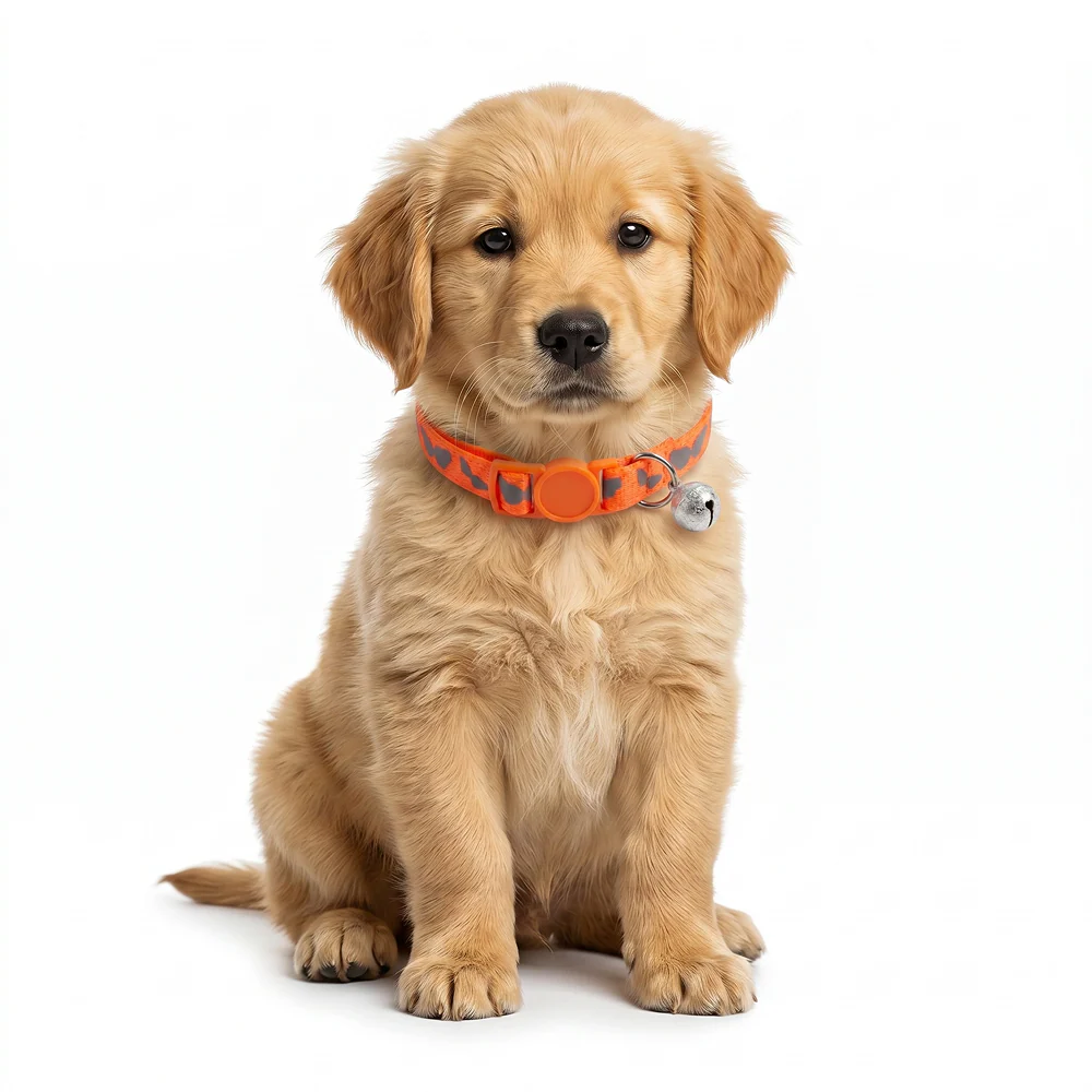 Basil Printed Collar for Cats & Puppies (Orange) - Image 2