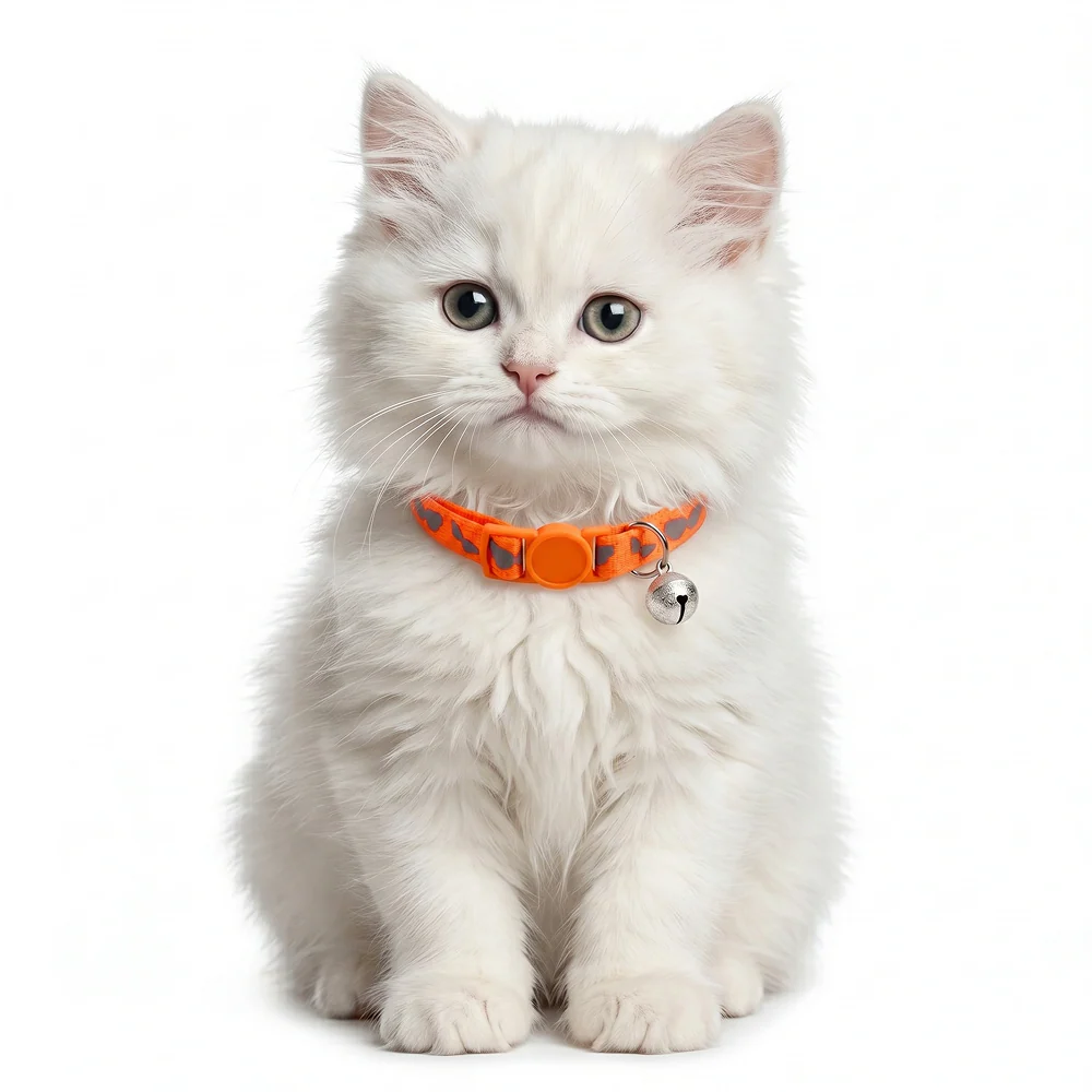 Basil Printed Collar for Cats & Puppies (Orange) - Image 3