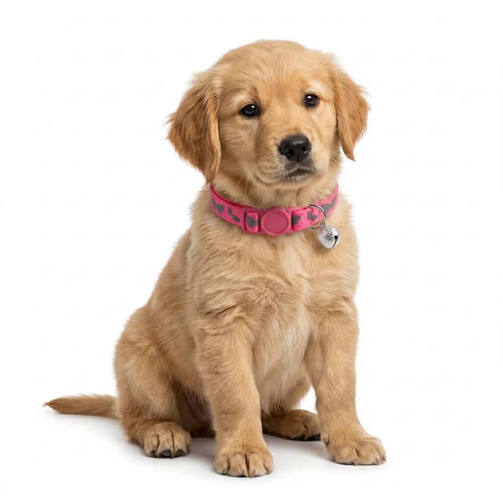 Basil Printed Collar for Cats & Puppies (Pink) - Image 2