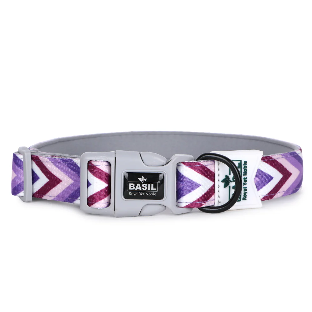 Basil Printed Collar for Dogs (Purple) - Image 4