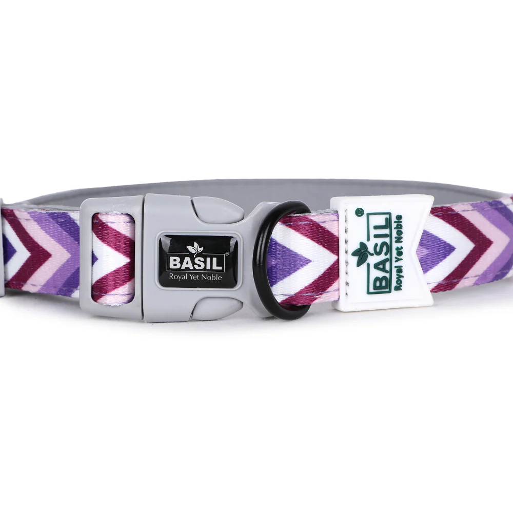 Basil Printed Collar for Dogs (Purple) - Image 5