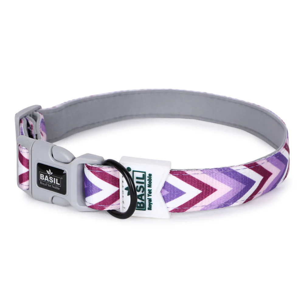 Basil Printed Collar for Dogs (Purple) - Image 6