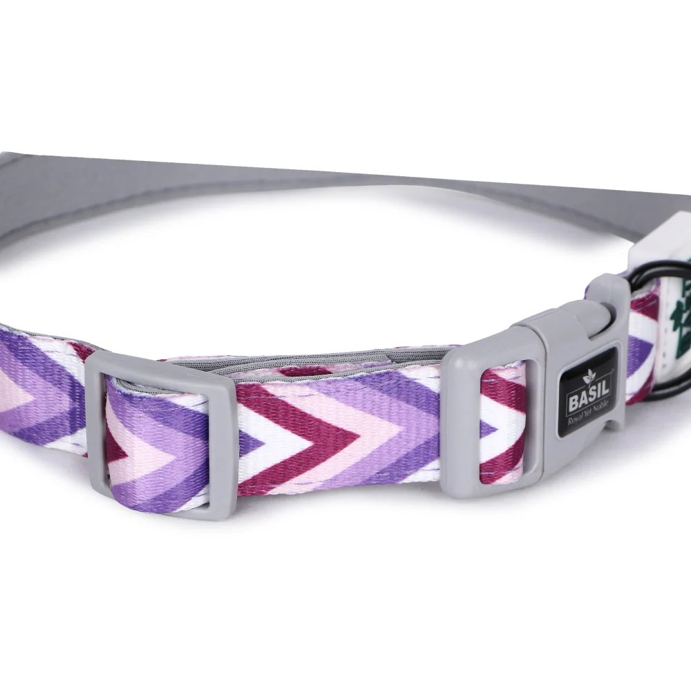 Basil Printed Collar for Dogs (Purple) - Image 8