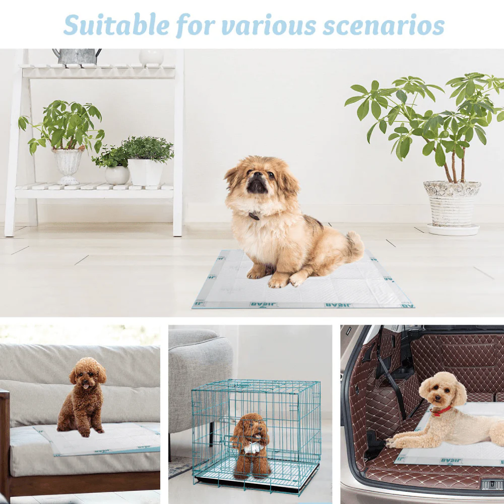Basil Training Pads for Puppies (60x45cm) - Image 5