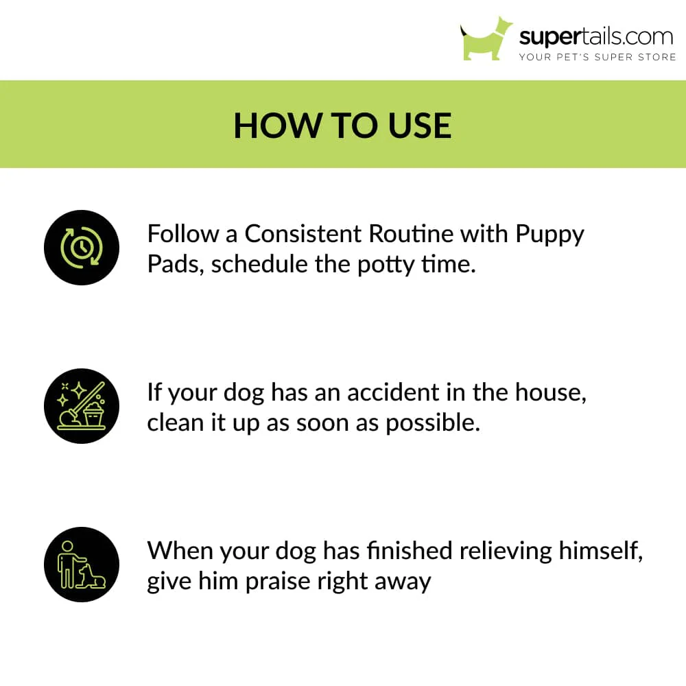 Basil Training Pads for Puppies (60x45cm) - Image 7