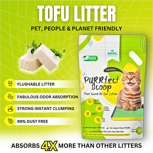 Basil Purrfect Green Tea Scented Clumping Cat Litter - Image 3