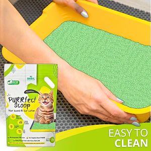 Basil Purrfect Green Tea Scented Clumping Cat Litter - Image 5
