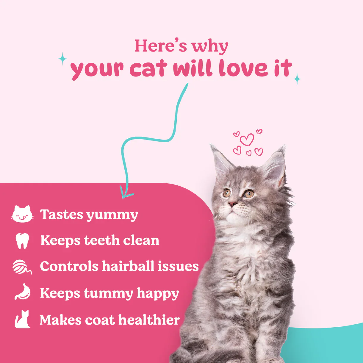 Basil Purrfect Tuna and Chicken Dental Stick Cat Treat - Image 4