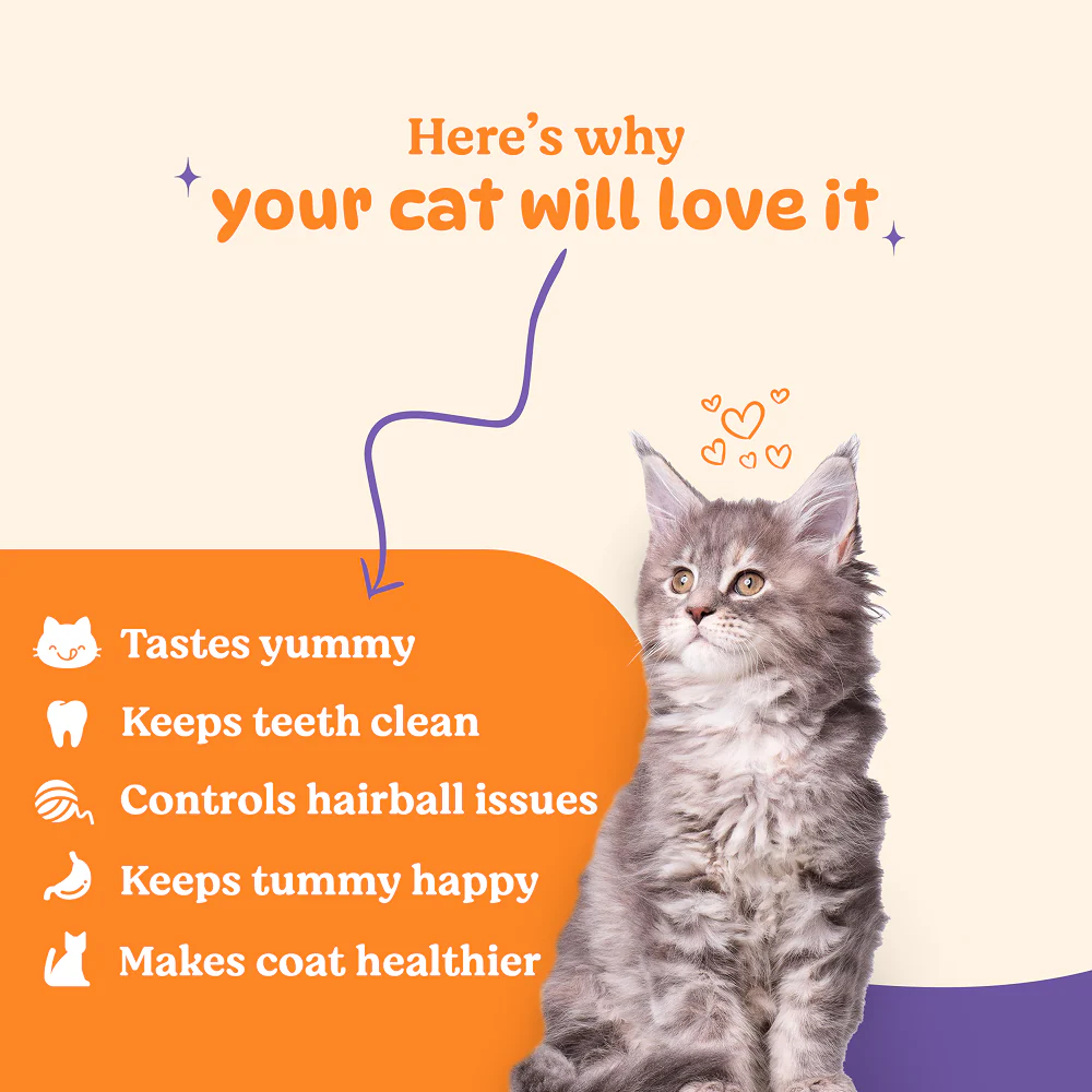 Basil Purrfect Tuna and Cranberry Dental Stick Cat Treat - Image 3