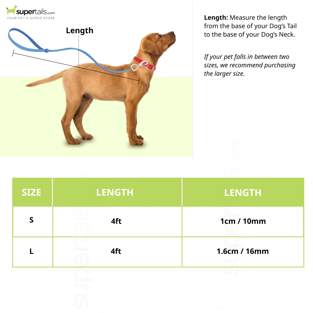 Basil Rope Leash for Dogs and Cats (Green) - Image 2