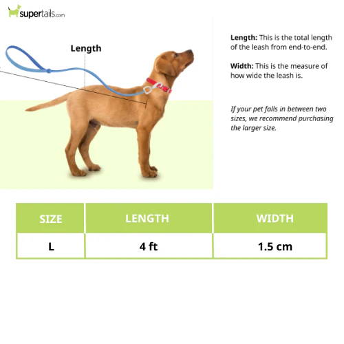 Basil Rope Leash for Dogs (Black/Blue) - Image 2