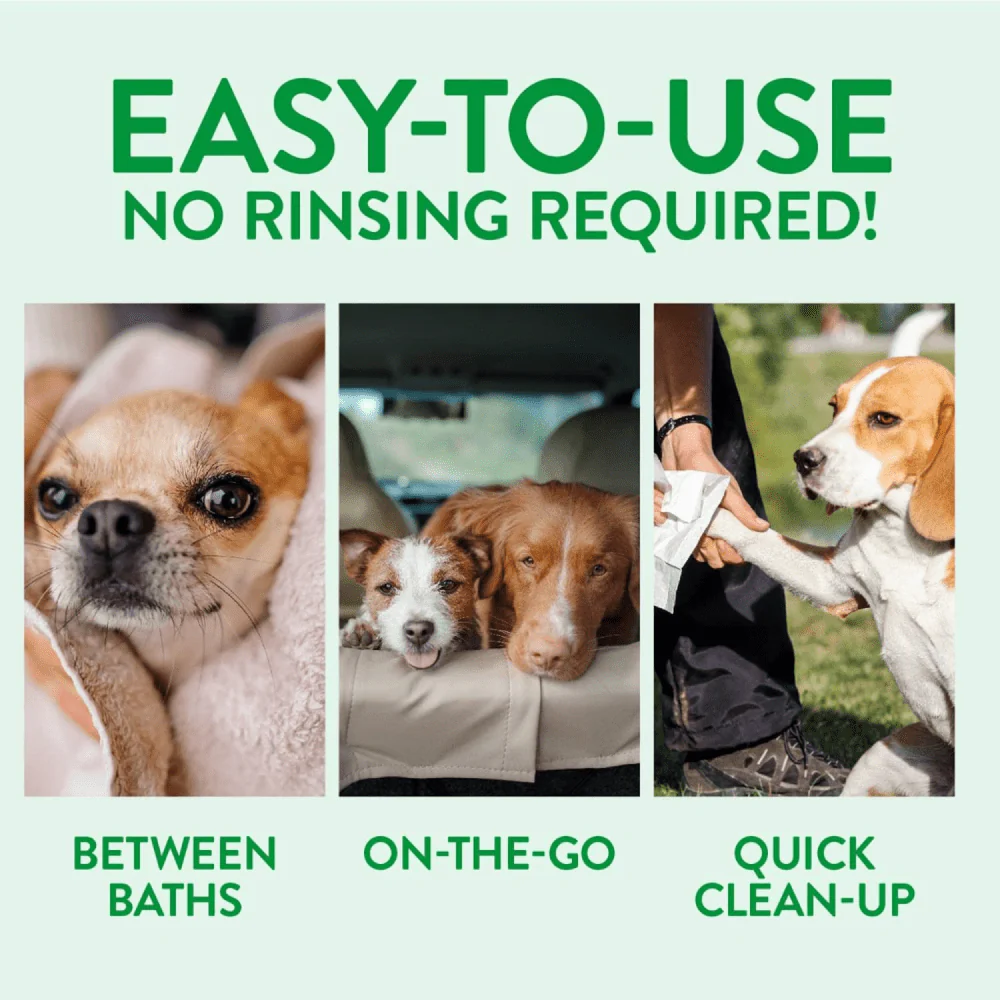 Basil Rosemary & Geranium Dry Dog Shampoo - Image 7