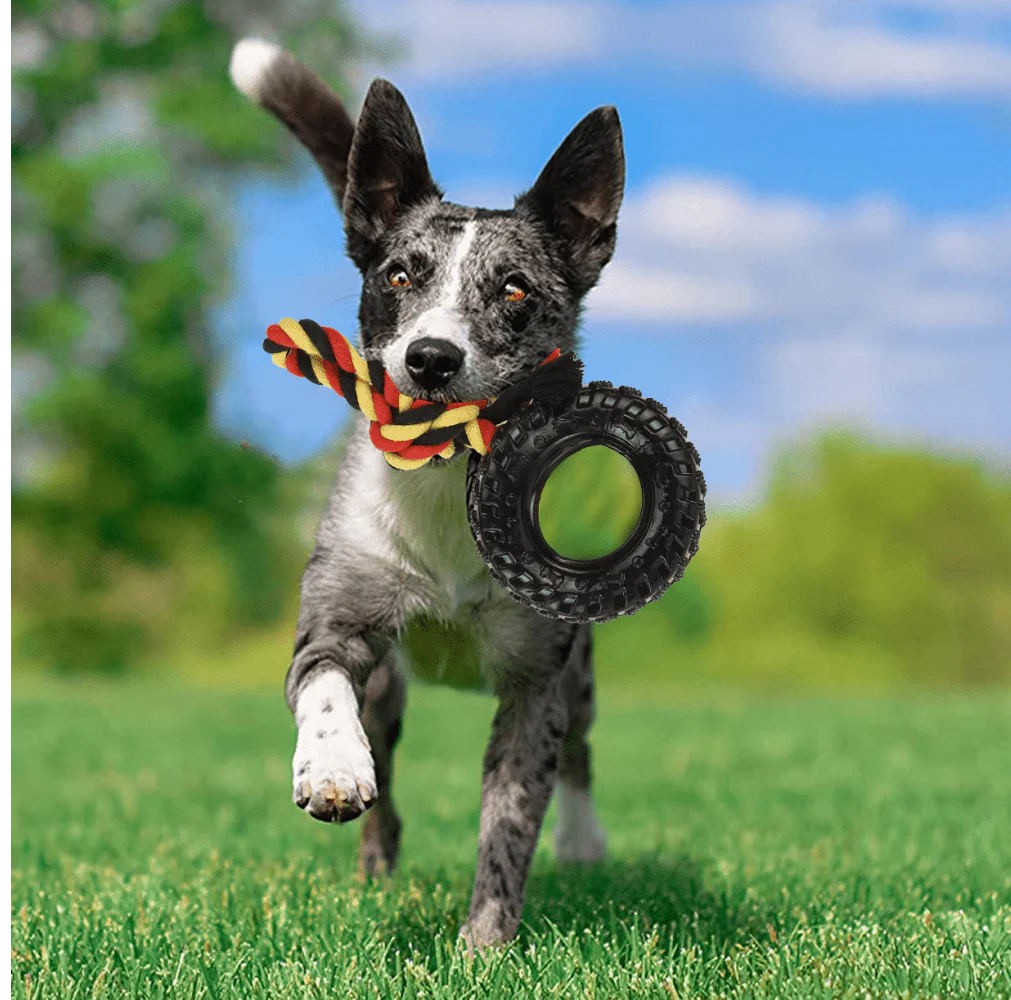 Basil Rubber Tyre with Cotton Rope for Dogs - Image 6