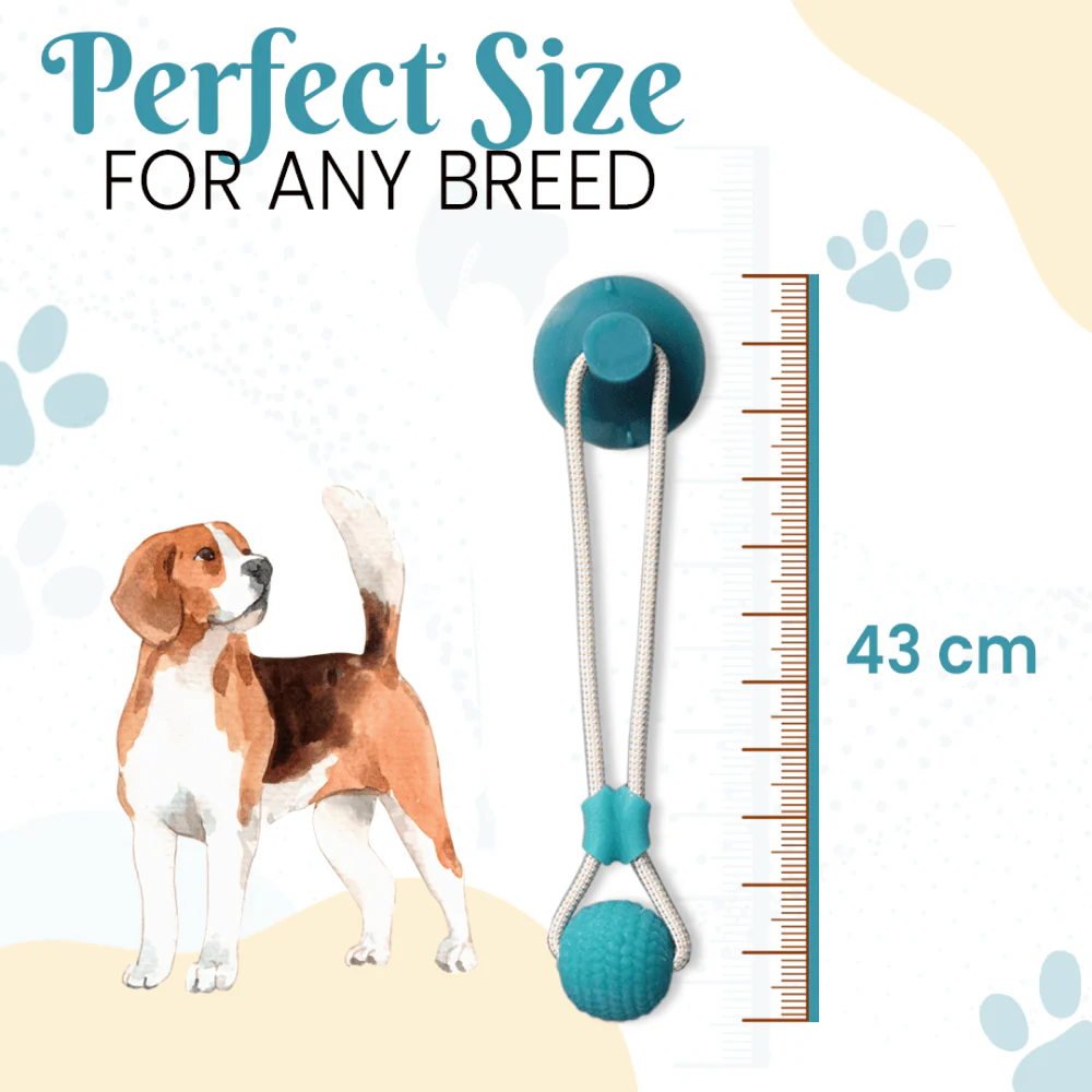 Basil Silicon Vacuum Cup with Rope & Ball Toy for Dogs and Cats | For Medium Chewers (Purple) - Image 2