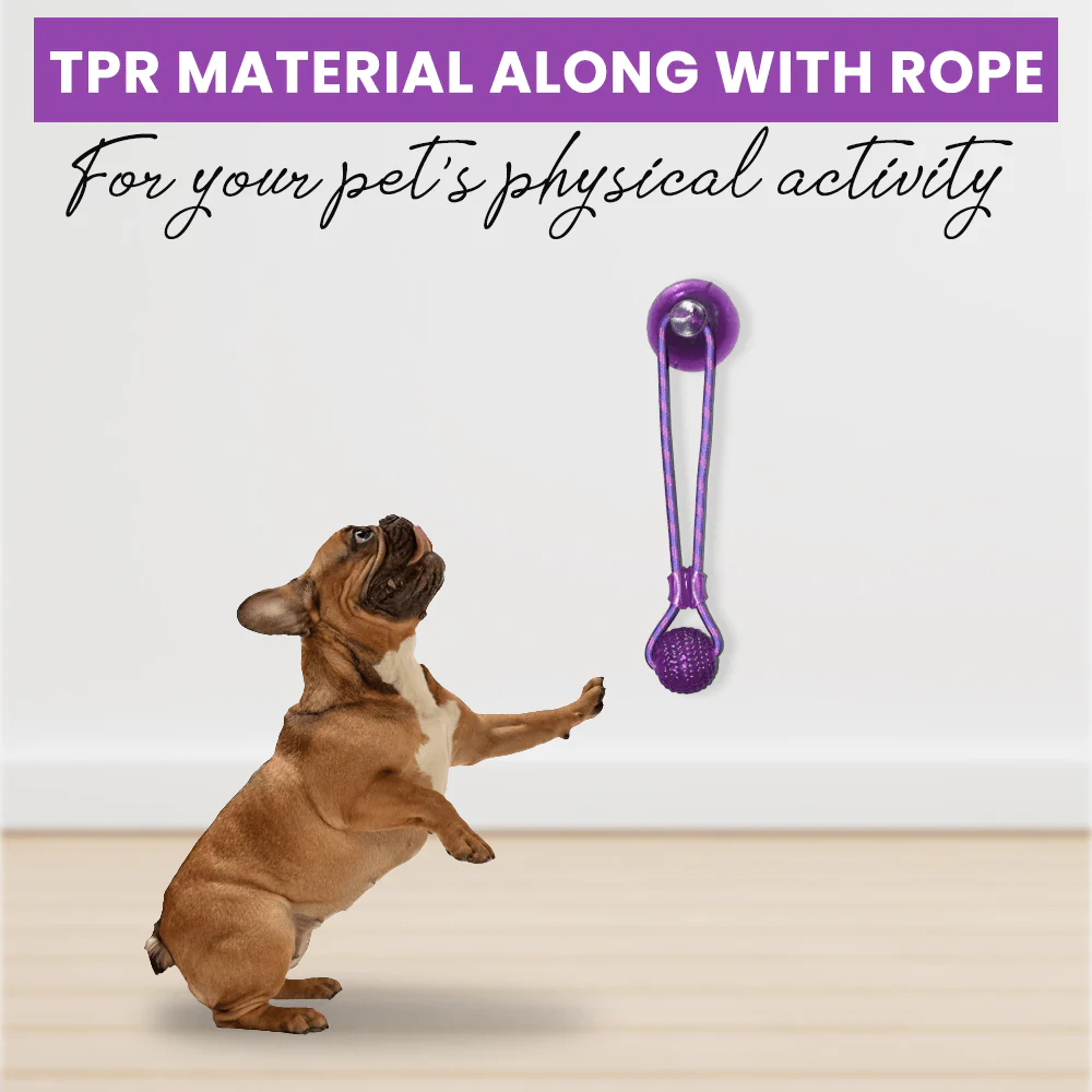 Basil Silicon Vacuum Cup with Rope & Ball Toy for Dogs and Cats | For Medium Chewers (Purple) - Image 3