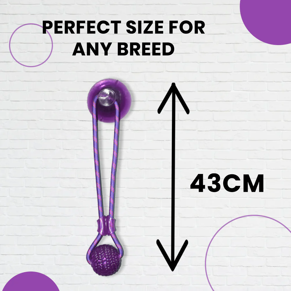 Basil Silicon Vacuum Cup with Rope & Ball Toy for Dogs and Cats | For Medium Chewers (Purple) - Image 4