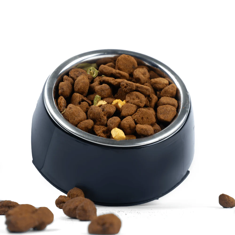 Basil Solid Color Melamine Bowl for Dogs and Cats (Grey) - Image 6