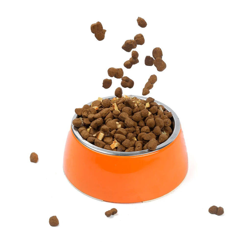 Basil Solid Color Melamine Bowl for Dogs and Cats (Orange) - Image 6