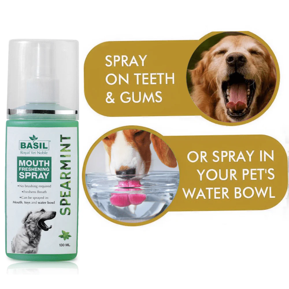 Basil Spearmint Mouth Spray for Dogs - Image 4