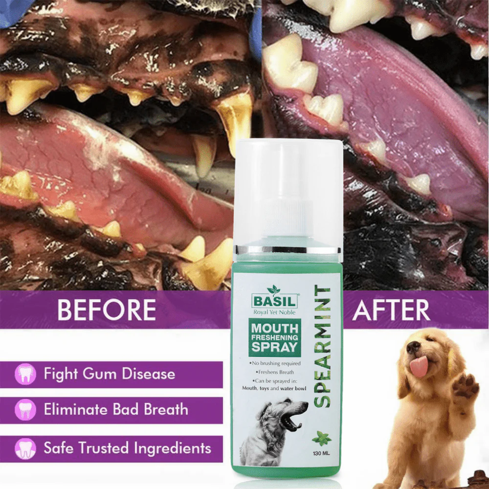 Basil Spearmint Mouth Spray for Dogs - Image 5