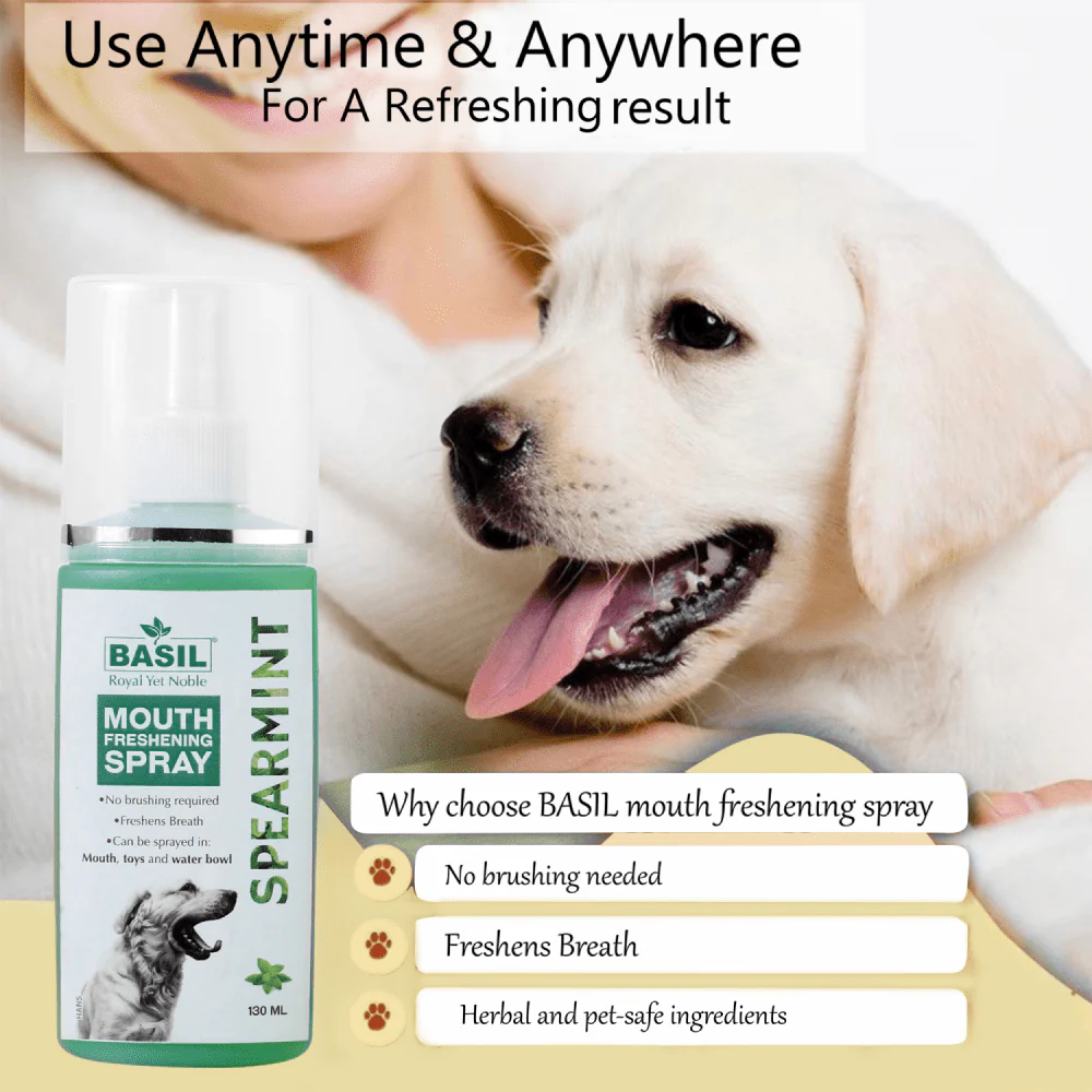 Basil Spearmint Mouth Spray for Dogs - Image 6