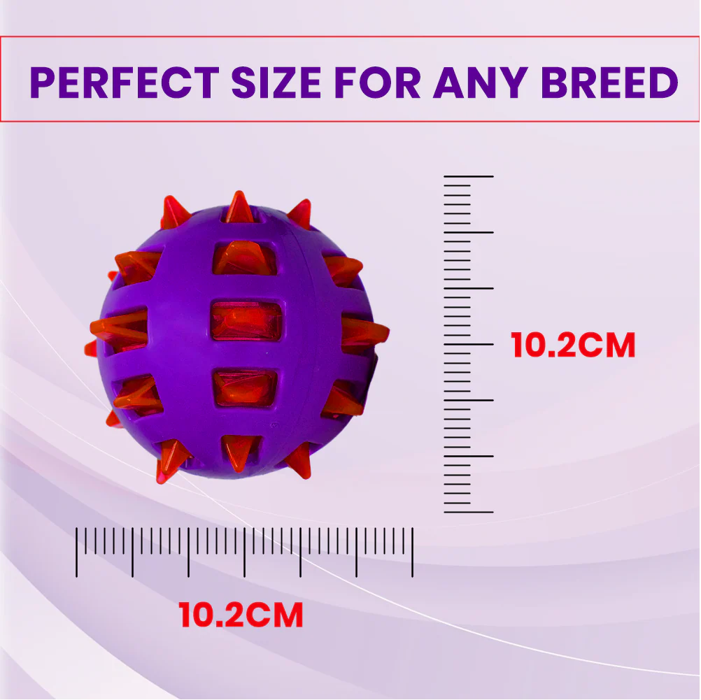 Basil Squeaky Rubber Ball Toy for Dogs - Image 2