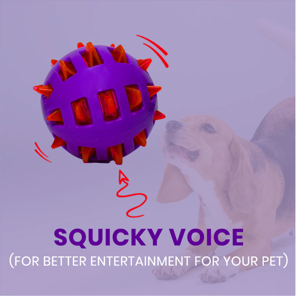 Basil Squeaky Rubber Ball Toy for Dogs - Image 3