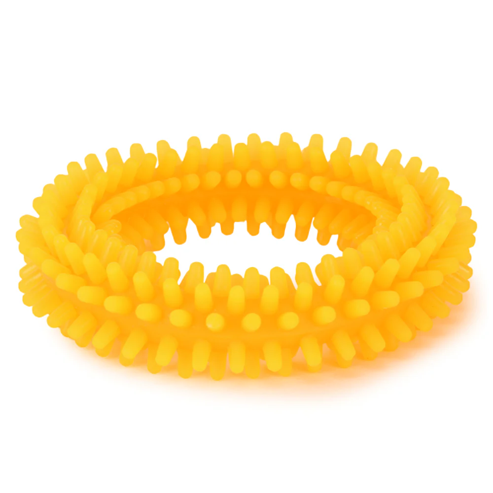 Basil Teething Ring Chew Toy and Squeaky Rubber Ball Toy Combo for Dogs - Image 2