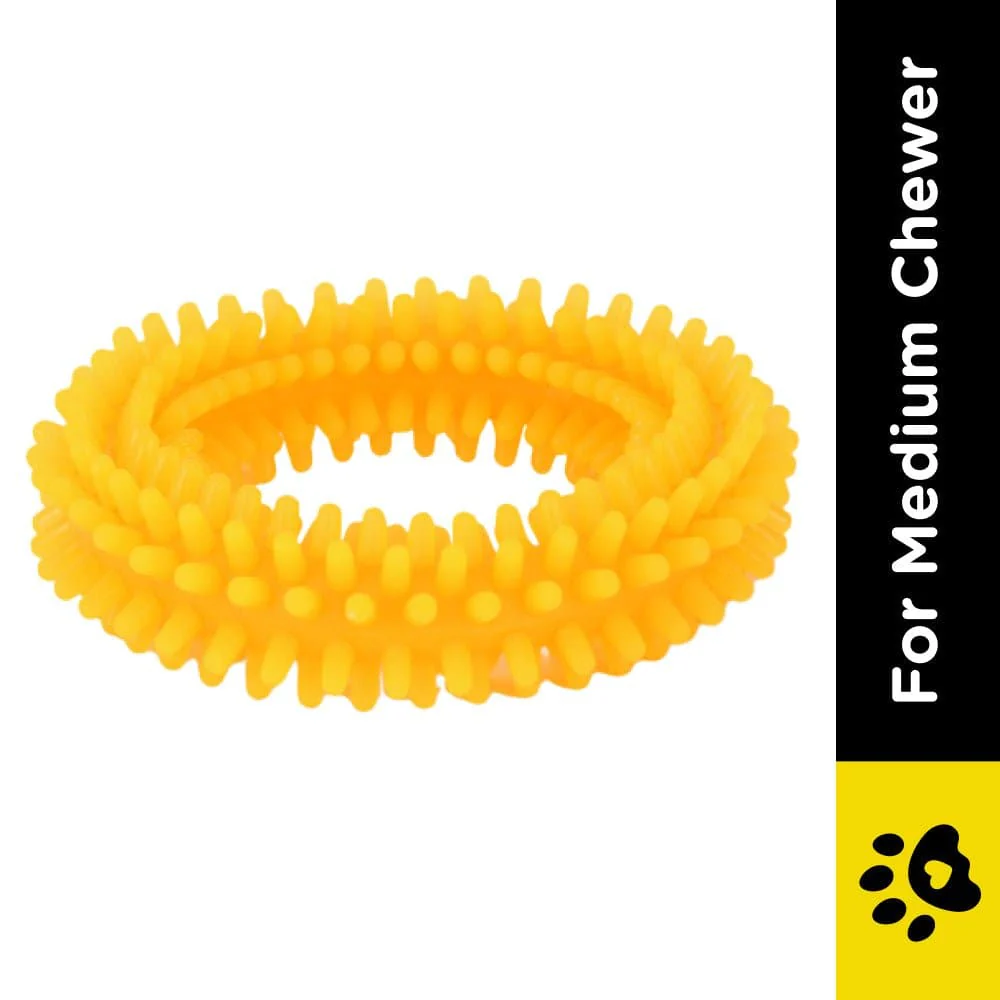 Basil Teething Ring Chew Toy and Squeaky Rubber Ball Toy Combo for Dogs - Image 4
